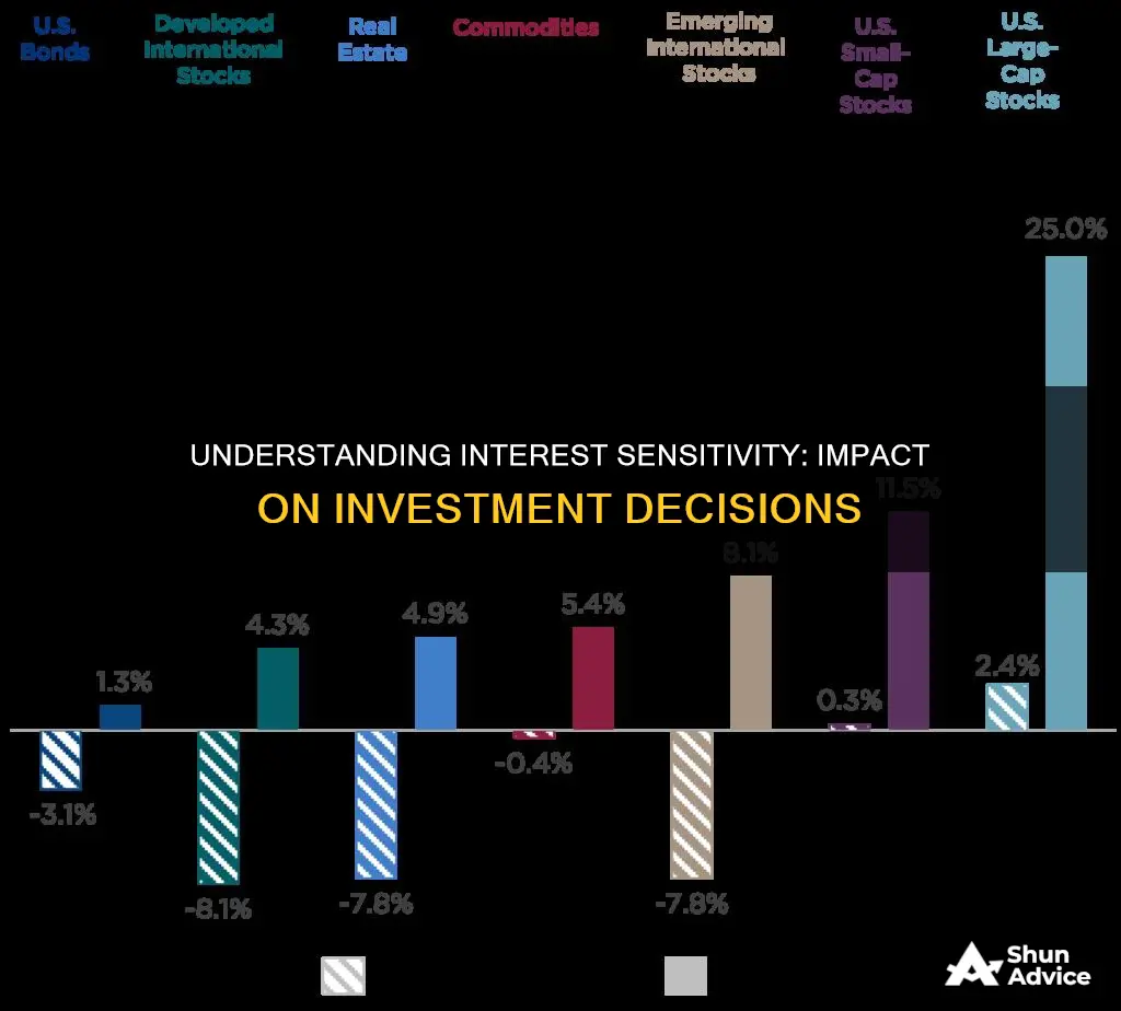 what is interest sensitivity of investment