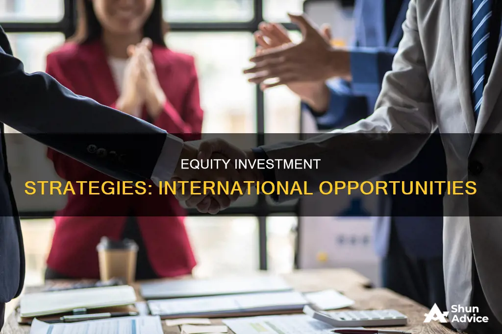 what is international equity investment