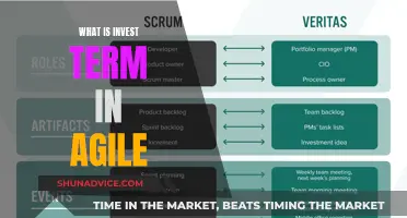 Understanding Agile's Invest Term: Unlocking Project Success