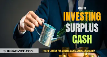 Investing Surplus Cash: Strategies for Long-Term Financial Growth