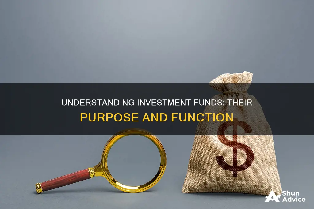 what is investive fund used for