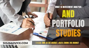 Understanding Investment Analysis and Portfolio Management