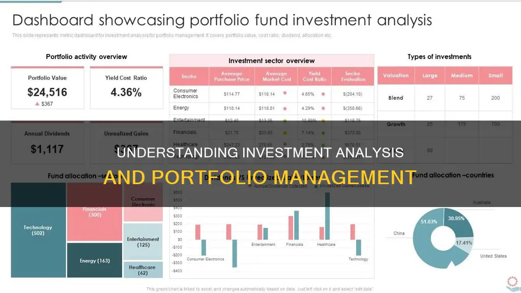 what is investment analysis and portfolio studies