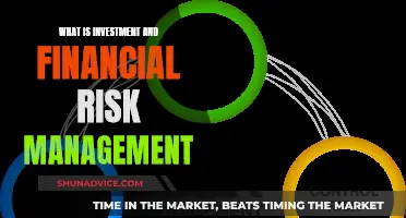 Understanding Investment and Financial Risk Management Strategies