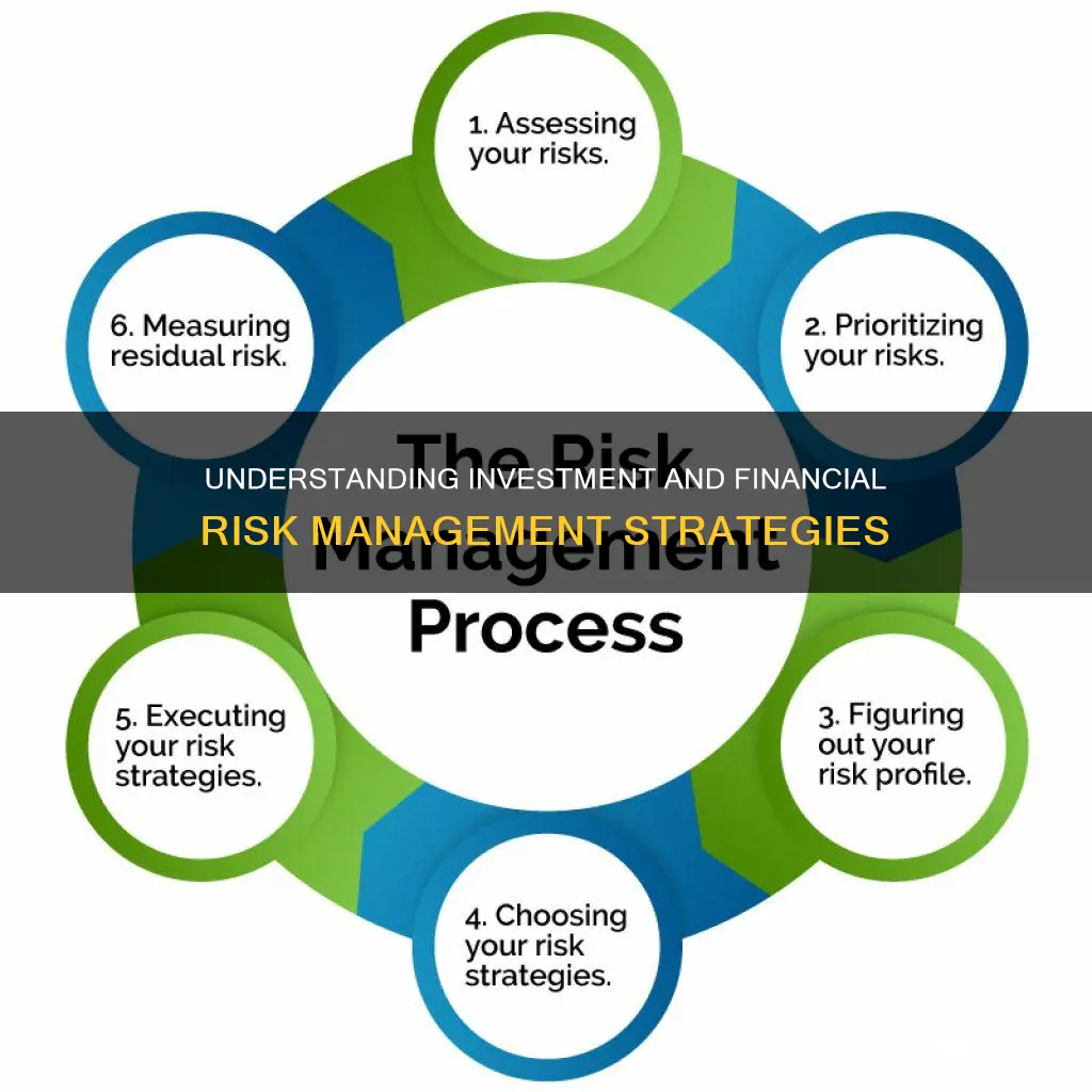 what is investment and financial risk management