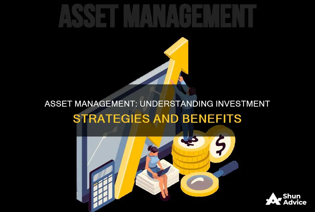 what is investment asset management