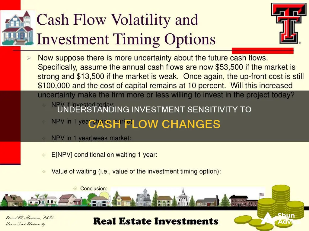 what is investment cash flow sensitivity