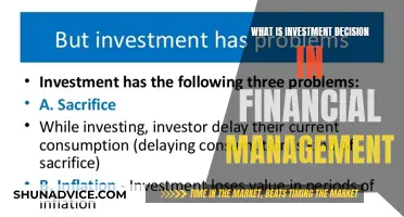 Investment Decision-Making: Financial Management Strategies Explained