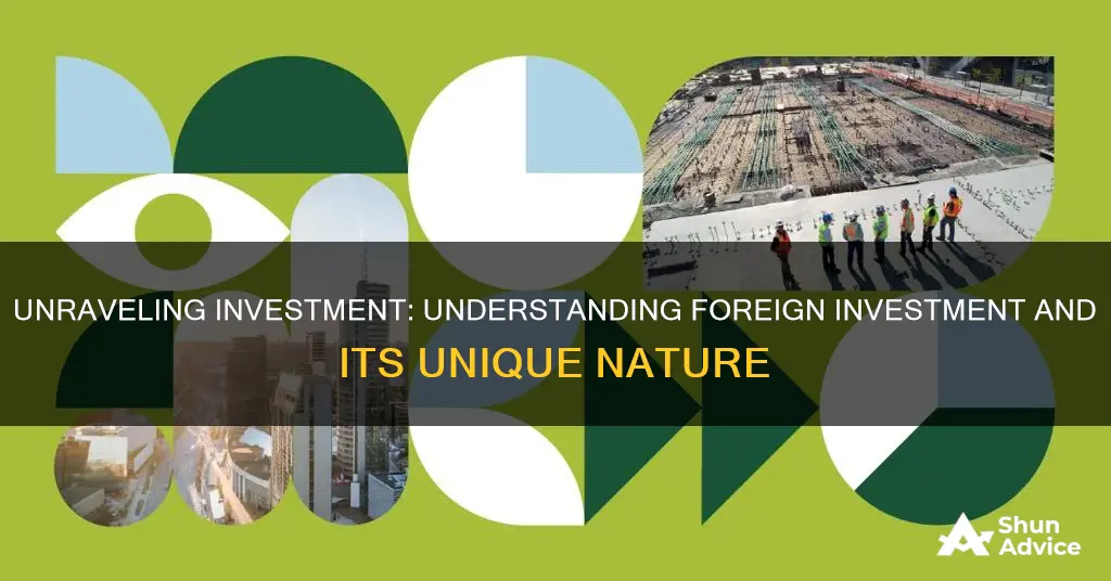 what is investment how is foreign investment different from it