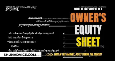 Understanding Owner's Equity Sheet: What Is Investment?