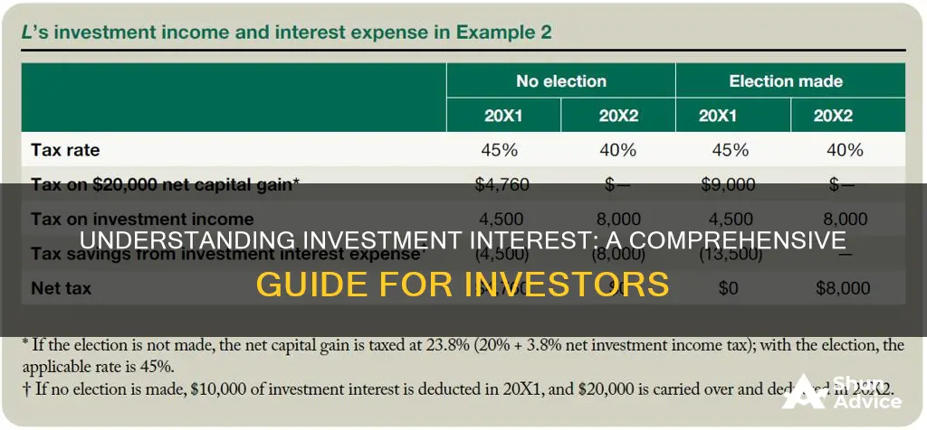 what is investment interest