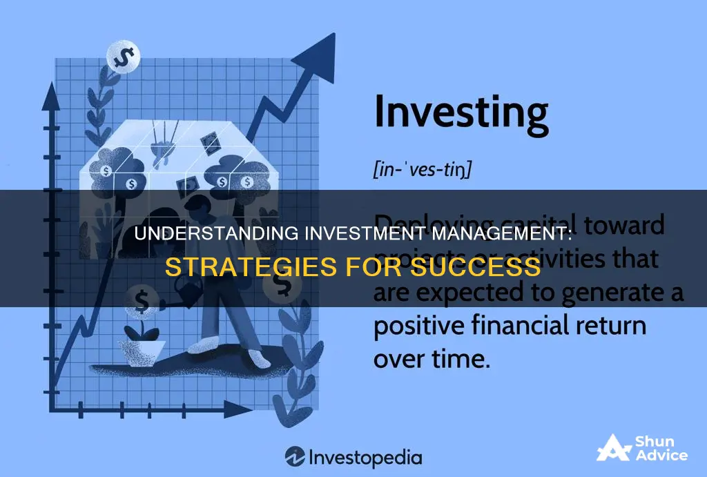 what is investment management