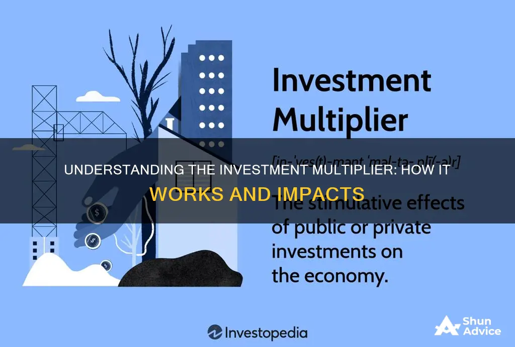 what is investment multiplier and its working