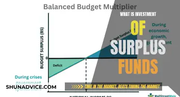 Understanding Surplus Funds Investment Strategies and Benefits