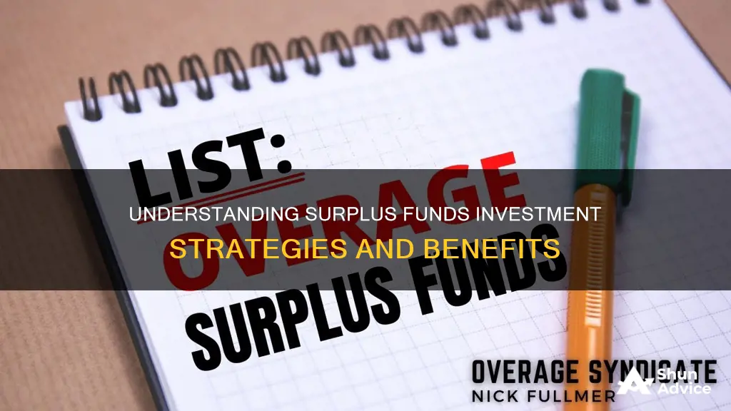 what is investment of surplus funds