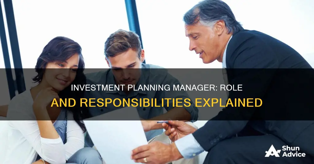 what is investment planning manager