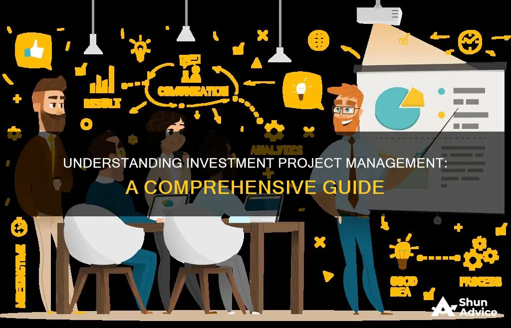 what is investment project management