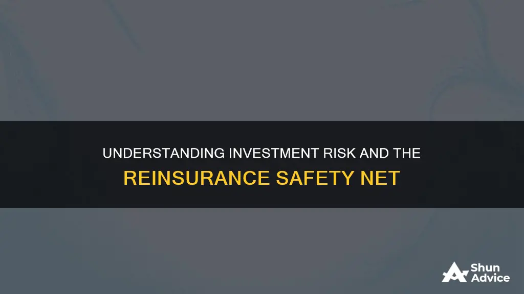 what is investment risk and reinsurance