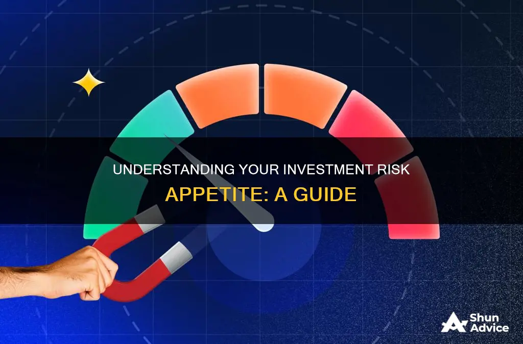 what is investment risk appetite