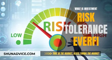 Understanding Your Investment Risk Tolerance: An Everfi Guide