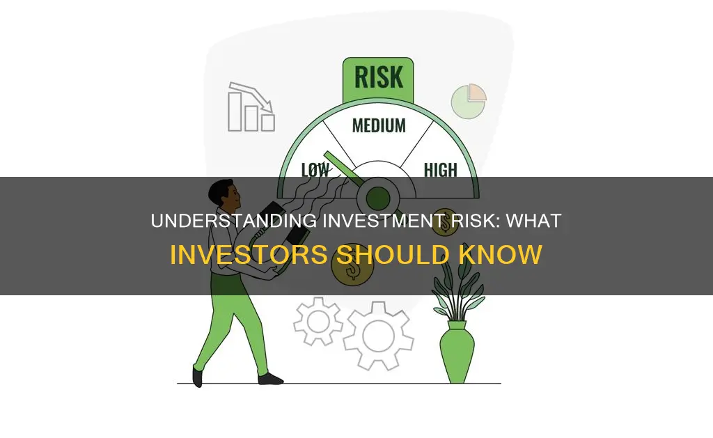 what is investment risk