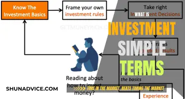 Understanding Investment Basics: A Simple Guide for Beginners