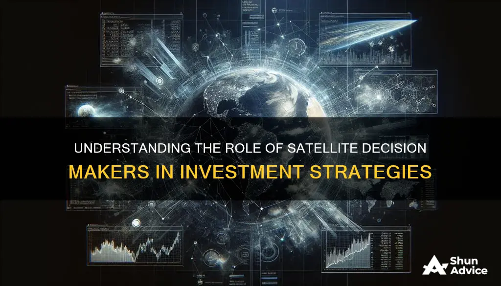 what is investment term satellite decision makers