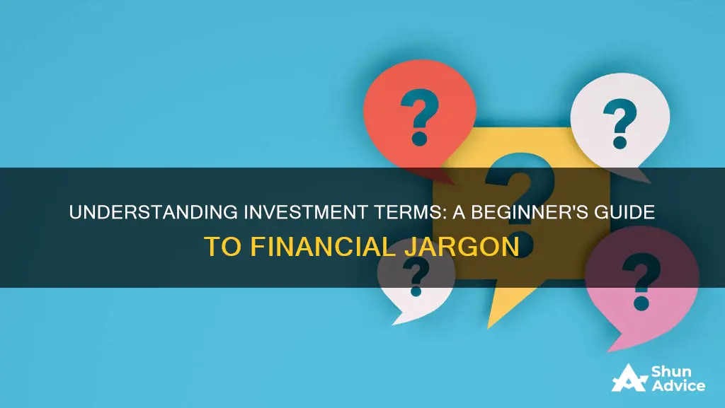 what is investment term