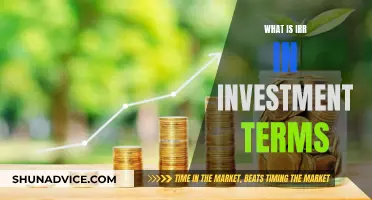 Understanding the Concept of IRR: A Key Investment Metric