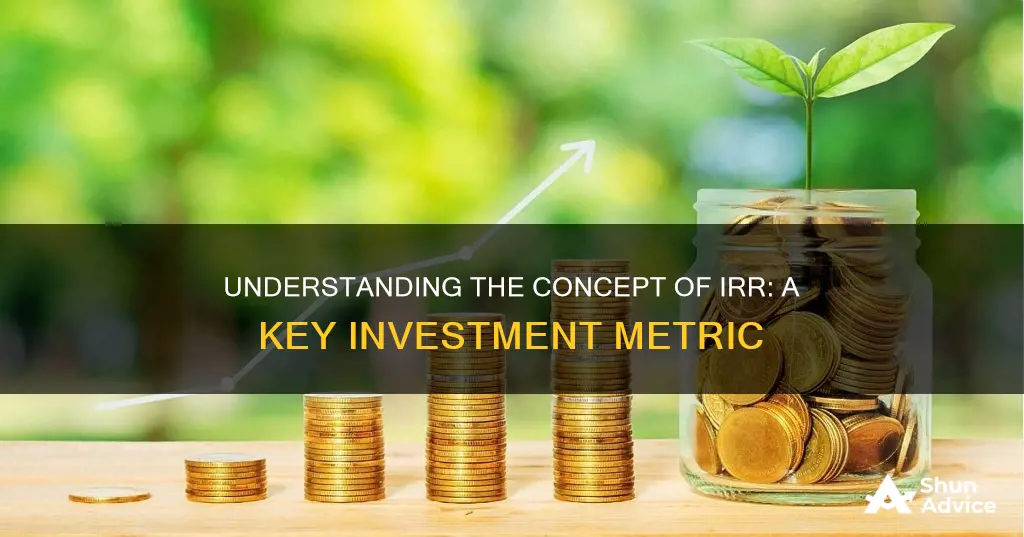 what is irr in investment terms