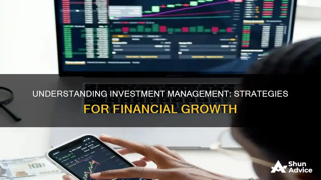 what is it investment management