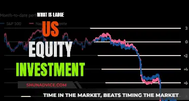 Large US Equity Investment: What You Need to Know