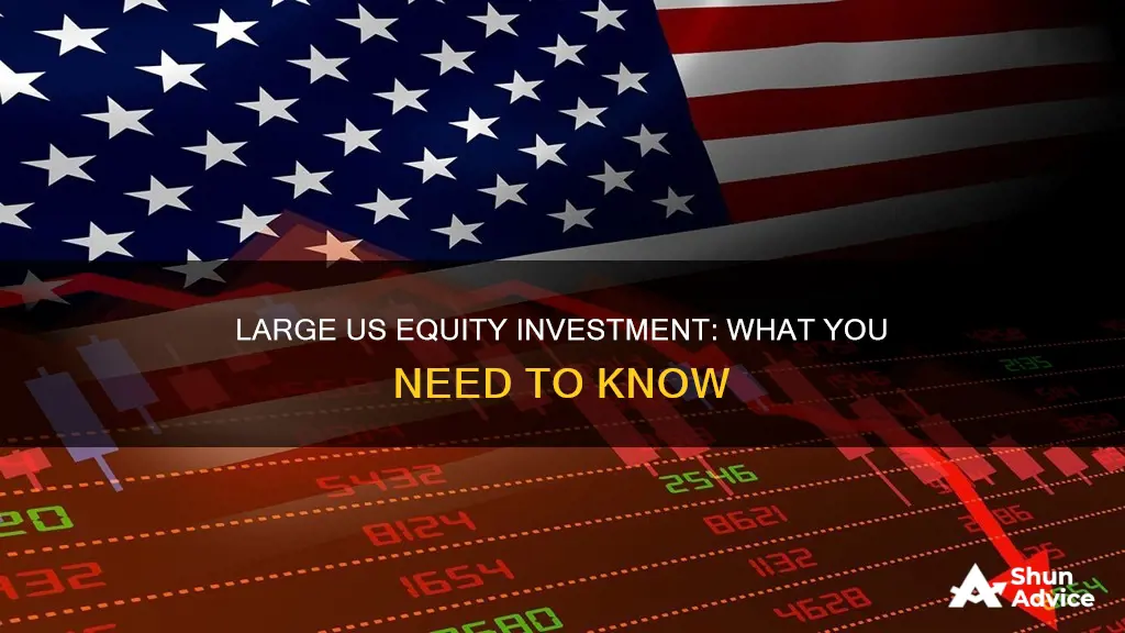 what is large us equity investment