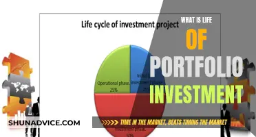 Portfolio Investment: A Long-Term Financial Journey