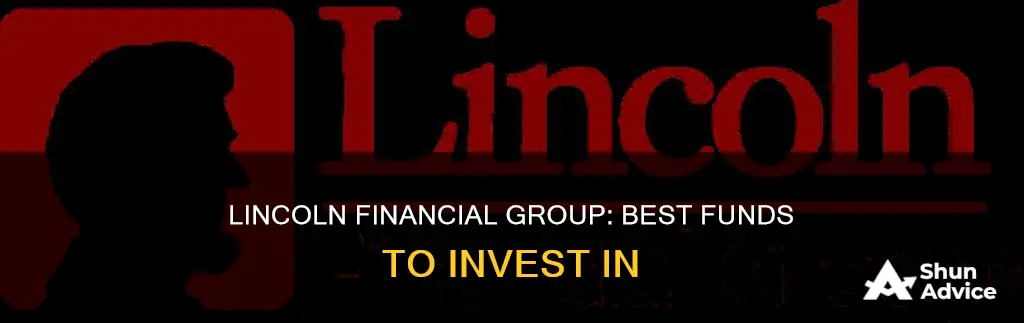 what is lincoln financial group funds should you invest in