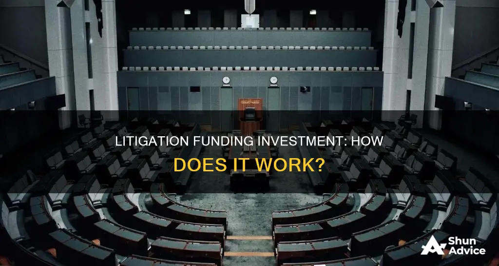 what is litigation funding investment