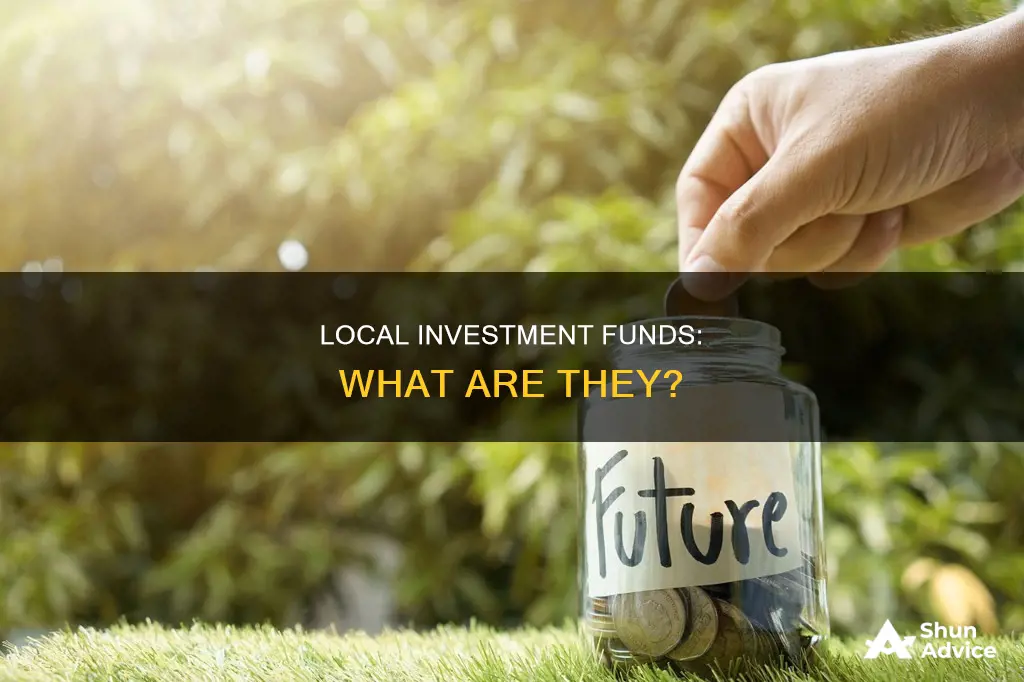 what is local investment fund