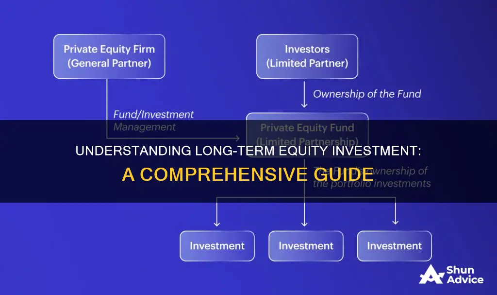 what is long term equity investment