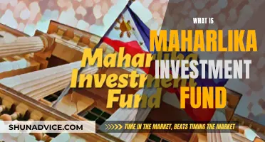 Maharlika Investment Fund: Philippines' Sovereign Wealth Fund