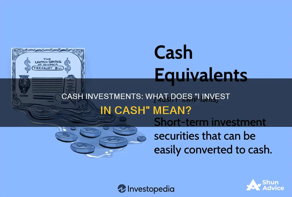 what is meant by I invest in cash