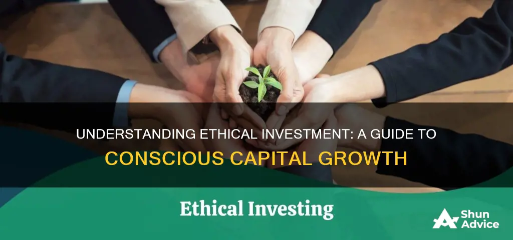 what is meant by the term ethical investment