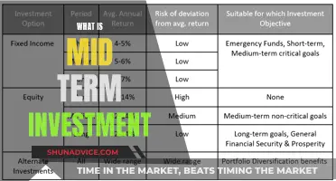 Understanding Mid-Term Investments: Strategies for Balanced Growth