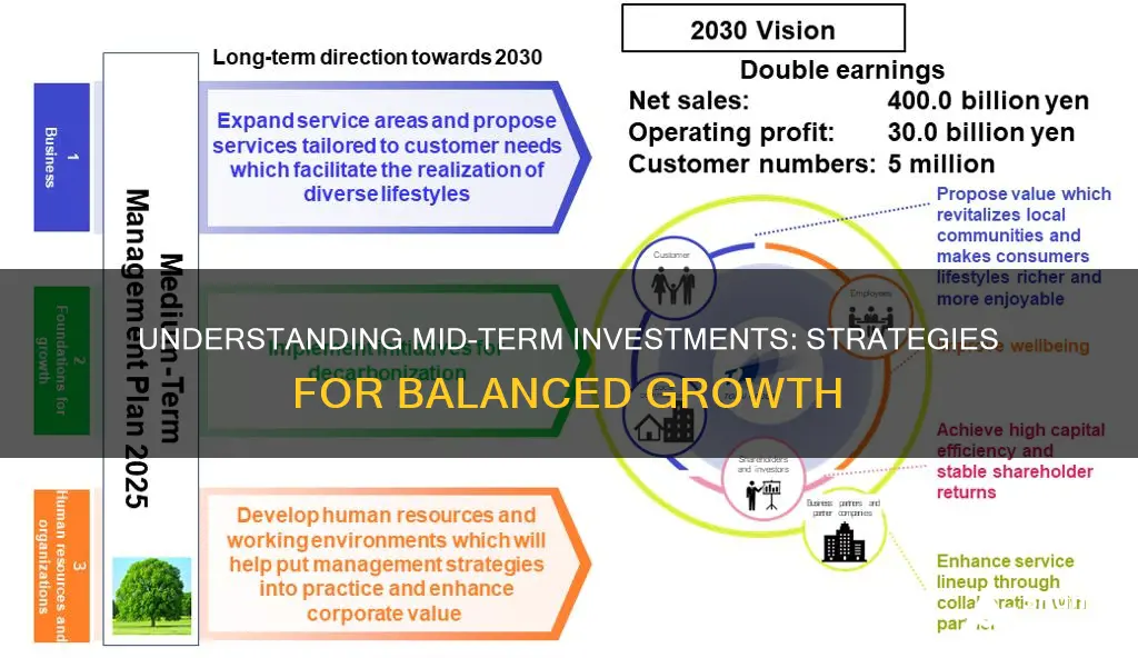 what is mid term investment