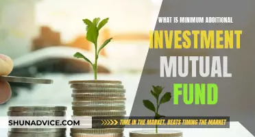 Mutual Fund Minimum Additional Investment: How Much More?