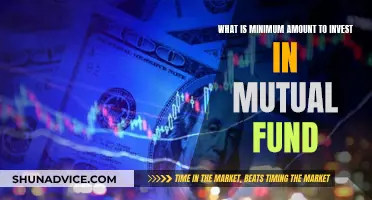 Mutual Fund Minimum Investment: How Little Can You Invest?