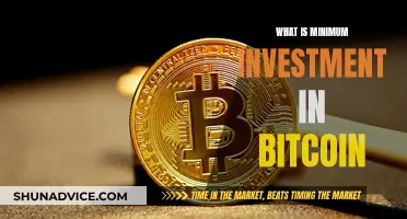 How Little Can You Invest in Bitcoin?