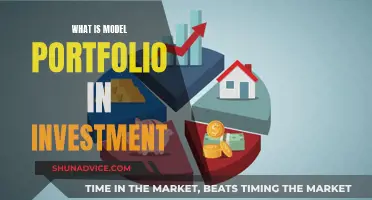 Understanding Investment Strategies: Model Portfolios Explained