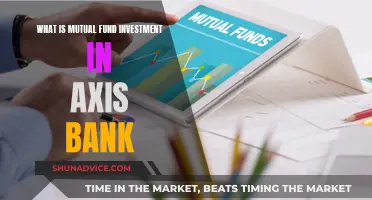 Axis Bank's Mutual Fund Investment Options Explained