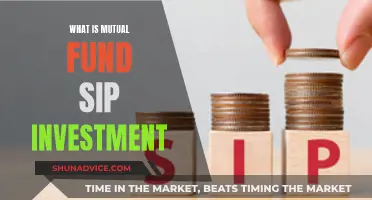 SIP Mutual Fund Investment: How and Why?