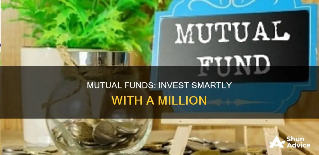 what is mutual funds with minimum 1000000 investment